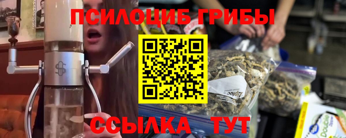 Галлюциногенные грибы Psilocybine cubensis Каменск-Уральский